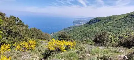 Photo de oasi di mario