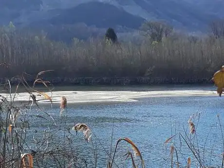 Photo de Riserva Naturale del Fondo Toce