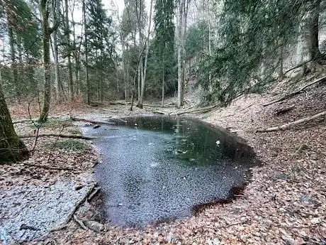Mystical lake