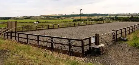 Photo de Elm Court Equestrian - Livery Facility Hire and Coaching