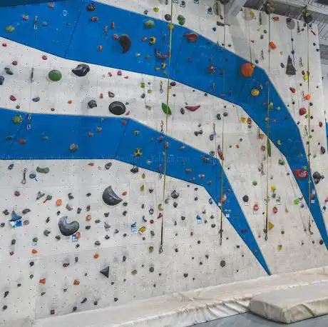 Photo de Wave Climbing Center
