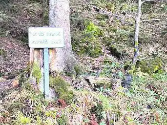 Source de la Sarre Blanche