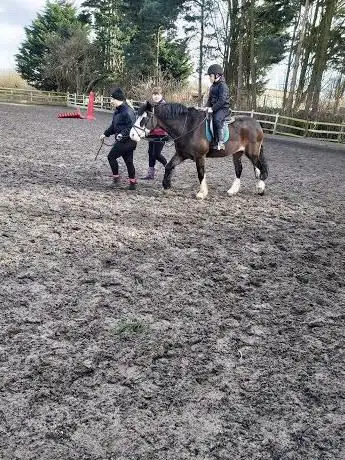 Halsall Riding & Livery Centre