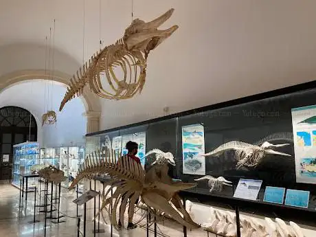 Photo de Museo del Mare