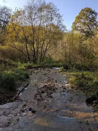 Holyford Woods Local Nature Reserve