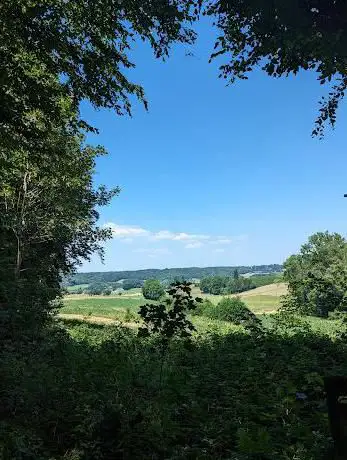 Konenbos Sint-Martens-Voeren