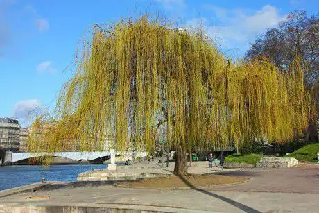Photo de Tino Rossi Garden