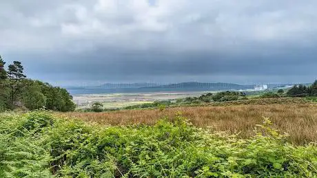 Photo de Fairlie glen circular walk
