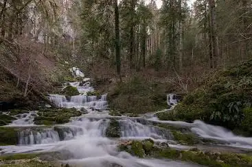 La Roche