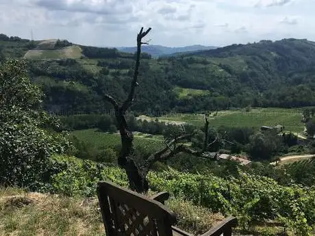 Photo de Oasi Affiliata WWF Forteto della Luja