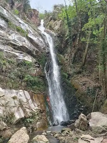 Photo de Salt del Mas Claver