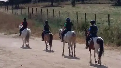 Photo de Club Hipico - Escuela de Equitacion El Turó