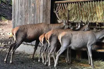 Photo de Wildlife reserve