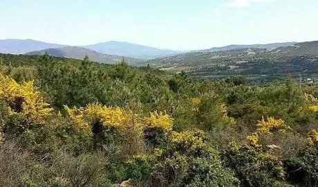 Photo de Ø£ÙƒØ±Ø³Ø§Ù†