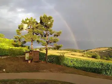 Photo de Monts du Forez