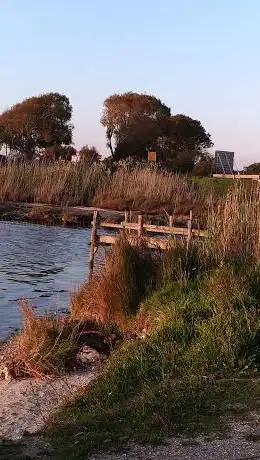 Punto osservazione Fenicotteri e fauna locale