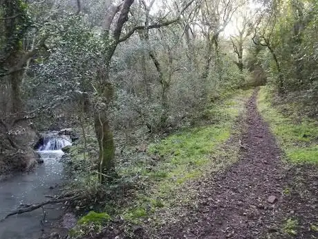 Solacera