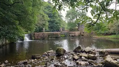 Photo de Mill Force