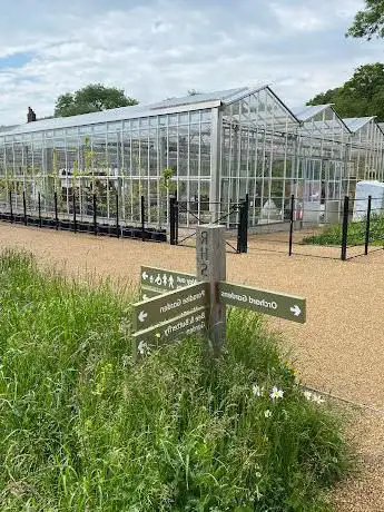 Bee and Butterfly Garden
