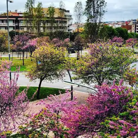 Photo de Jardins de Maria Montessori