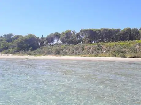 Photo de Excursion Bateau Georgi Porquerolles et îles d'Or