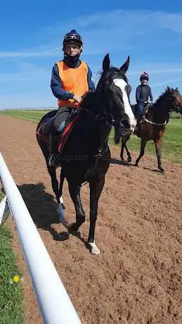 Mick Appleby Racing & Breeding Ltd