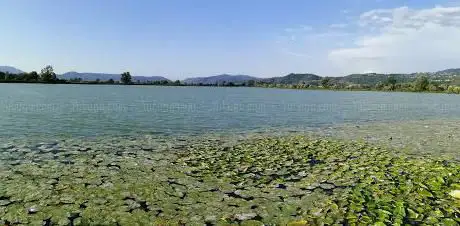 Punto vista lago