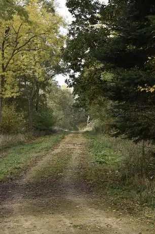 Photo de Temple Wood