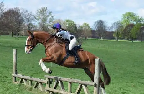 Photo de Bekesbourne Stables