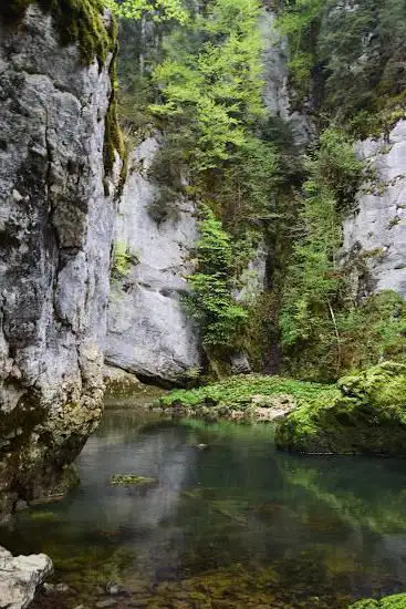 Photo de Sentier de la Charbonnière