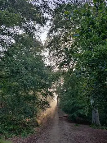 Photo de Ridgehill Wood