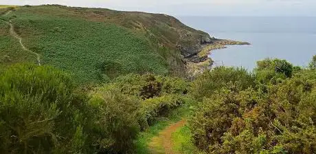 Photo de Tourist Office Falaises D'armor