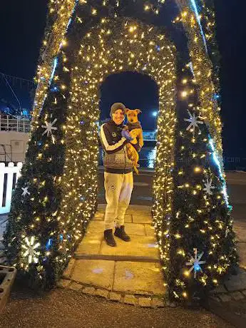 Poole Christmas maritime light festival