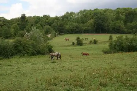 Photo de Ecole Equitation de la Forêt