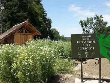 Photo de Jardin Secret de la fée Verte
