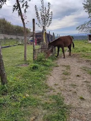 Photo de Oasi degli Asinelli