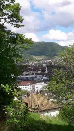 Aare Auen-Landschaft