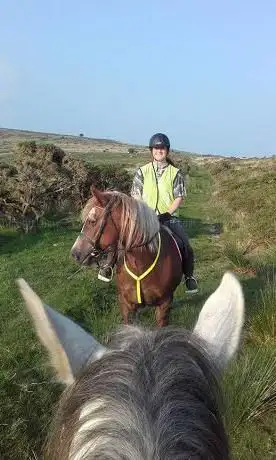 Preseli Pony Trekking at Ashvale Holiday & Riding Stables