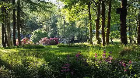 Photo de Land Farm Garden