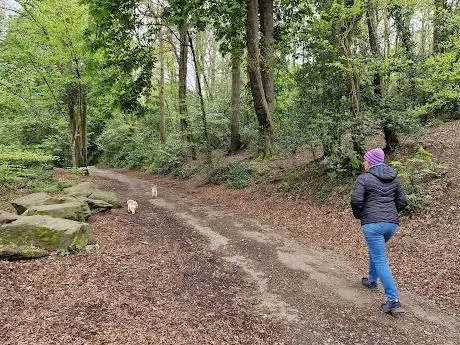 Ford Woods