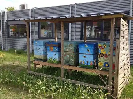 DroneBee Bijentuin Vierhuizen
