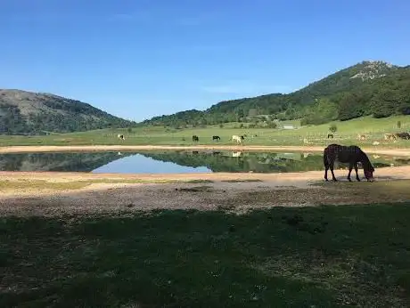 Monte Lupone