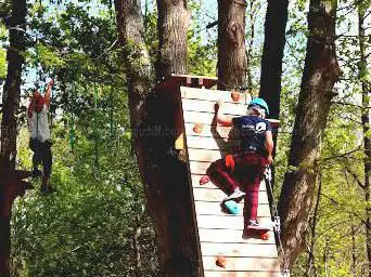 Photo de Saumur Forest Aventures