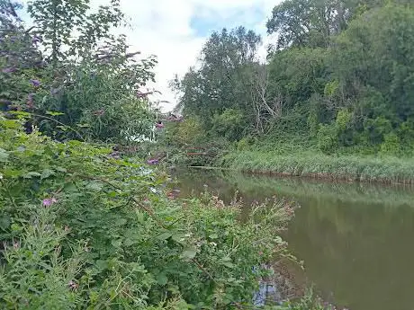 Photo de Leckwith Moors Park