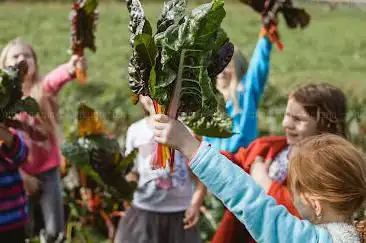 Photo de Sprouts Farm Club