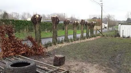 De Brabanter Dieter