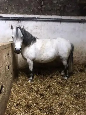 Photo de Écurie de la vallée de chevreuse