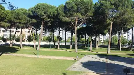 Photo de Pinar de Jalón Park