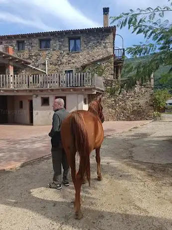 Cavalls Mas El Pla