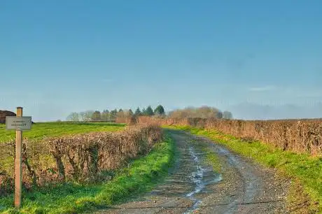 Chemin de l'écrevisse